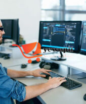 Web Application Developer