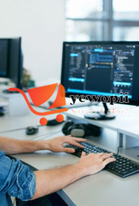 Web Application Developer